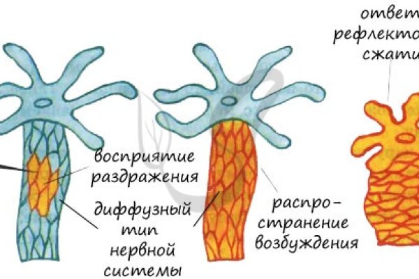 Mega рабочая ссылка